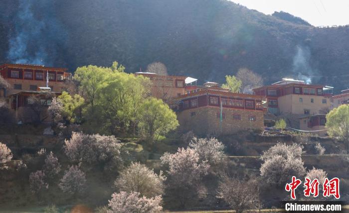 
北医六院黄牛代挂号电话票贩子号贩子网上预约挂号,住院检查加快,四川高原小城杏花桃花竞相开放 乡村美如画