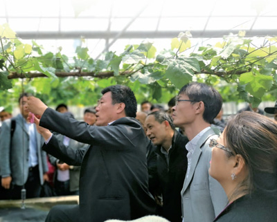 
杭州市三医院黄牛代挂号电话票贩子号贩子网上预约挂号,住院检查加快,新型职业农民成长记（人民眼·育好用好乡土人才②）