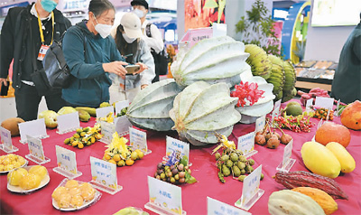 
北京同仁医院黄牛代挂号电话票贩子号贩子网上预约挂号,住院检查加快,“洋水果”在中国安了家