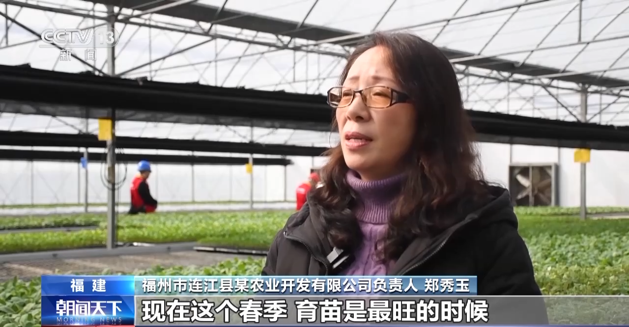 
北京天坛医院黄牛代挂号电话票贩子号贩子网上预约挂号,住院检查加快,全国春播粮食面积已达1亿亩 智能育苗提高生产