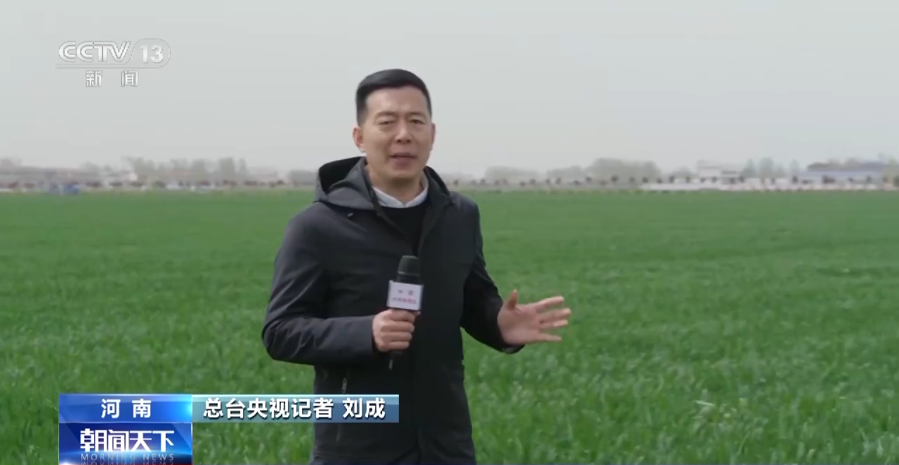 
北京天坛医院黄牛代挂号电话票贩子号贩子网上预约挂号,住院检查加快,全国春播粮食面积已达1亿亩 智能育苗提高生产