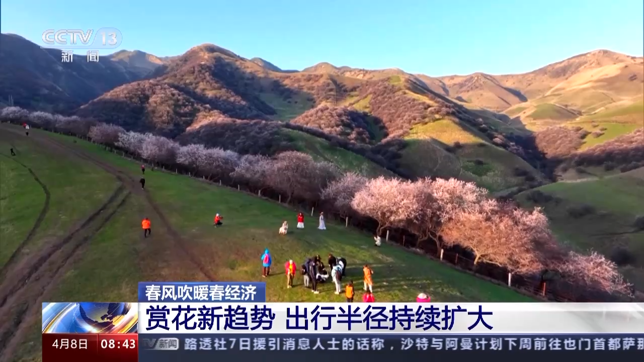 
沈阳各大医院黄牛代挂号电话票贩子号贩子网上预约挂号,住院检查加快,春风吹暖“春经济” 场景式消费花样不断翻新