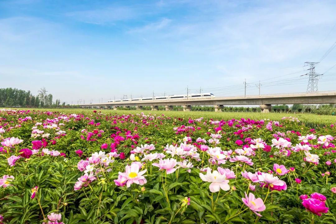 
重庆儿童医院黄牛代挂号电话票贩子号贩子网上预约挂号,住院检查加快,旅游专列来啦！你最想坐上哪一趟