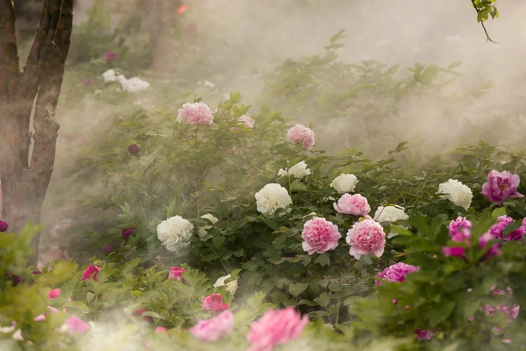 
重庆儿童医院黄牛代挂号电话票贩子号贩子网上预约挂号,住院检查加快,旅游专列来啦！你最想坐上哪一趟