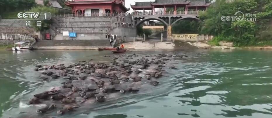 
北京各大医院黄牛代挂号电话票贩子号贩子网上预约挂号,住院检查加快,“五一”假日观察 | 假期出游呈现新特点