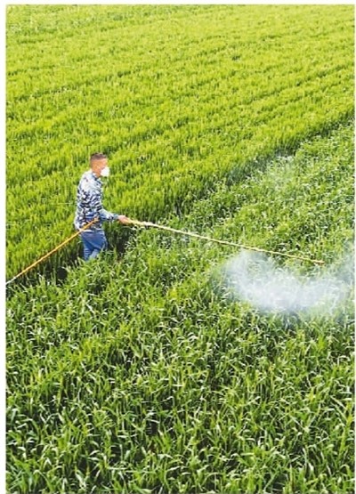 
南京各大医院黄牛代挂号电话票贩子号贩子网上预约挂号,住院检查加快,“百亿补贴”送给种粮农民