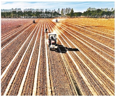 
南京各大医院黄牛代挂号电话票贩子号贩子网上预约挂号,住院检查加快,“百亿补贴”送给种粮农民