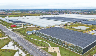 
江苏省中西医结合医院黄牛代挂号电话票贩子号贩子网上预约挂号,住院检查加快,给农业现代化插上科技的翅膀