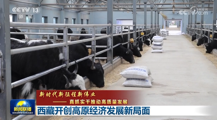 
北京各大医院黄牛代挂号电话票贩子号贩子网上预约挂号,住院检查加快,【新时代新征程新伟业——真抓实干推动高质量发展】西藏开创高原经济发展新局面