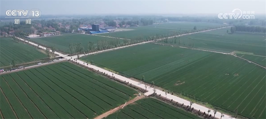 
上海肺科医院黄牛代挂号电话票贩子号贩子网上预约挂号,住院检查加快,全力保障夏粮丰收 河南各地及时做好小麦夏管工作