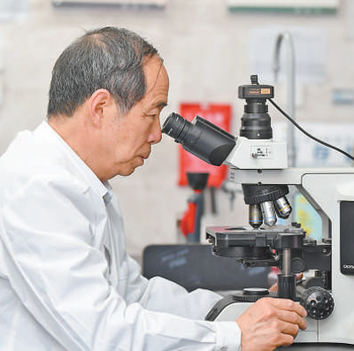 
北京301医院黄牛代挂号电话票贩子号贩子网上预约挂号,住院检查加快,耕好现代农业“试验田”