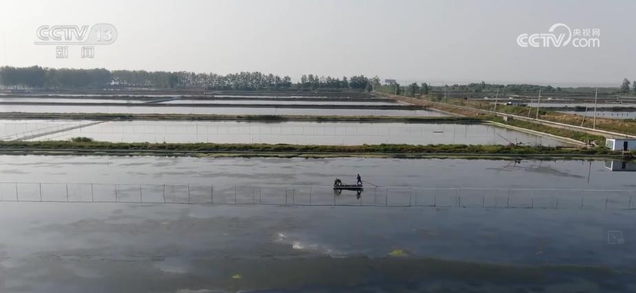 
广州儿童医院黄牛代挂号电话票贩子号贩子网上预约挂号,住院检查加快,140个优势特色产业集群 助力乡村产业融合发展