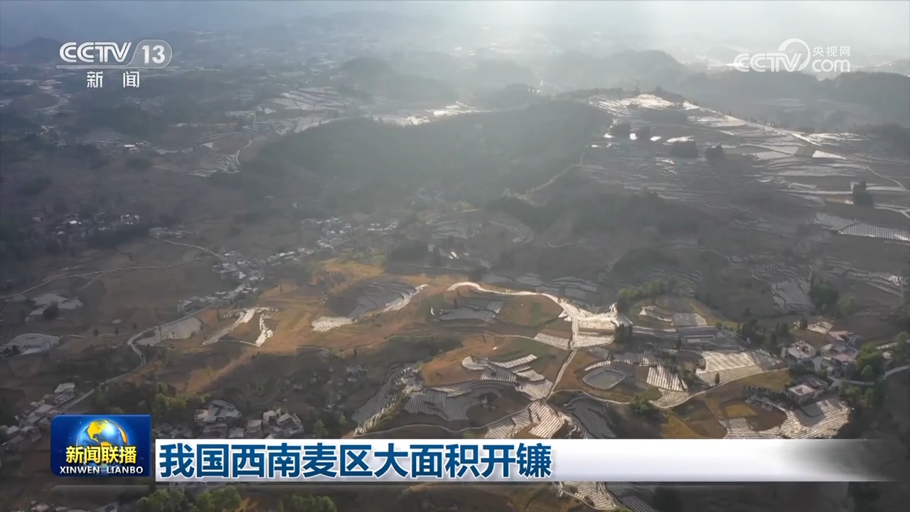 上海龙华医院黄牛代挂号电话票贩子号贩子网上预约挂号,住院检查加快,我国西南麦区大面积开镰