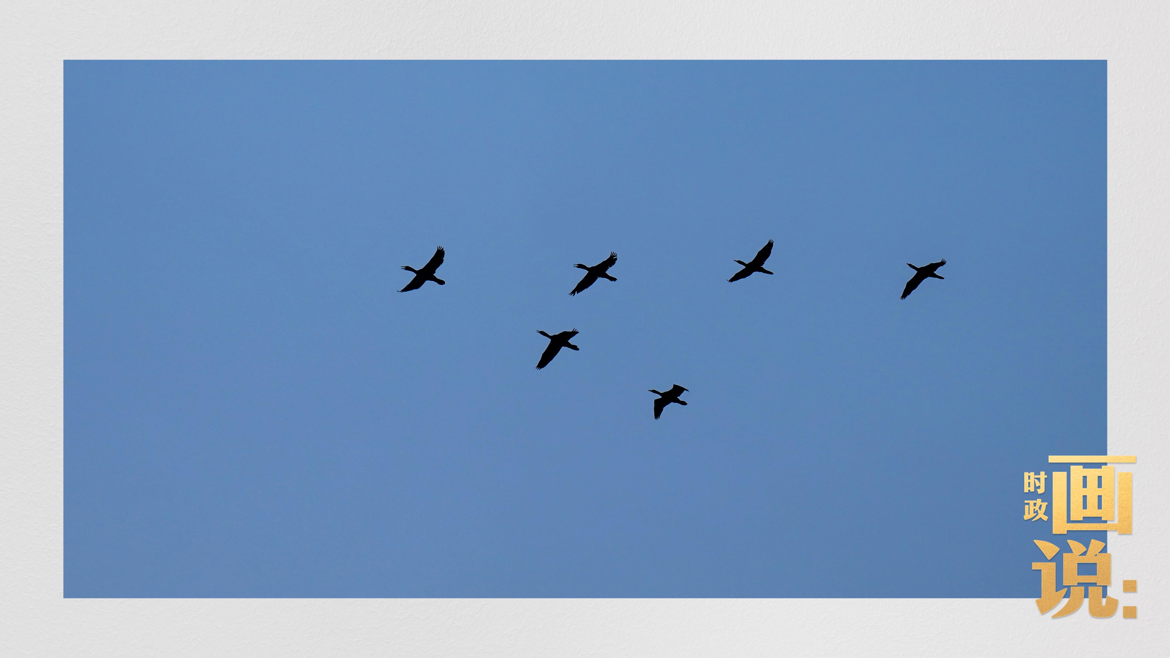 
包含北京大学第一医院黄牛代挂号电话票贩子号贩子网上预约挂号,住院检查加快,时政画说丨雄安·时辰