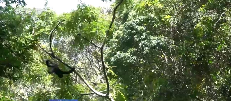 
首都医科大学附属北京同仁医院黄牛代挂号电话票贩子号贩子网上预约挂号,住院检查加快,数字基础设施规模能级提升 数字赋能助力各领域实现升级