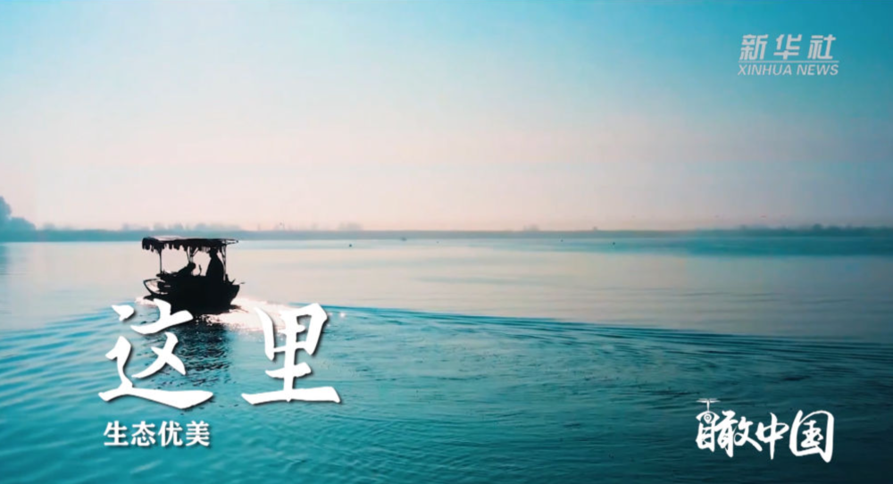 北京安定医院黄牛代挂号电话票贩子号贩子网上预约挂号,住院检查加快,瞰雄安|梦起未来之城