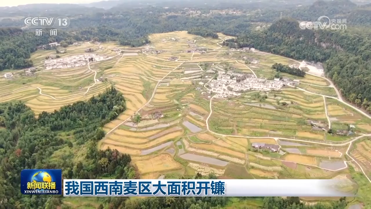 上海龙华医院黄牛代挂号电话票贩子号贩子网上预约挂号,住院检查加快,我国西南麦区大面积开镰