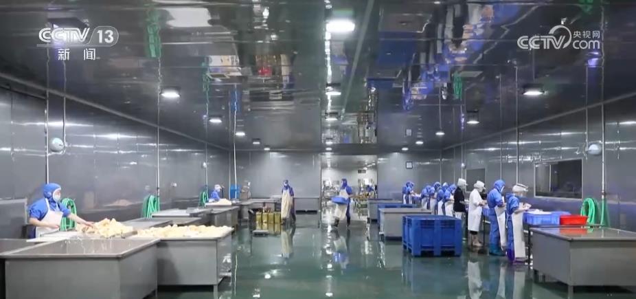 
广州儿童医院黄牛代挂号电话票贩子号贩子网上预约挂号,住院检查加快,140个优势特色产业集群 助力乡村产业融合发展