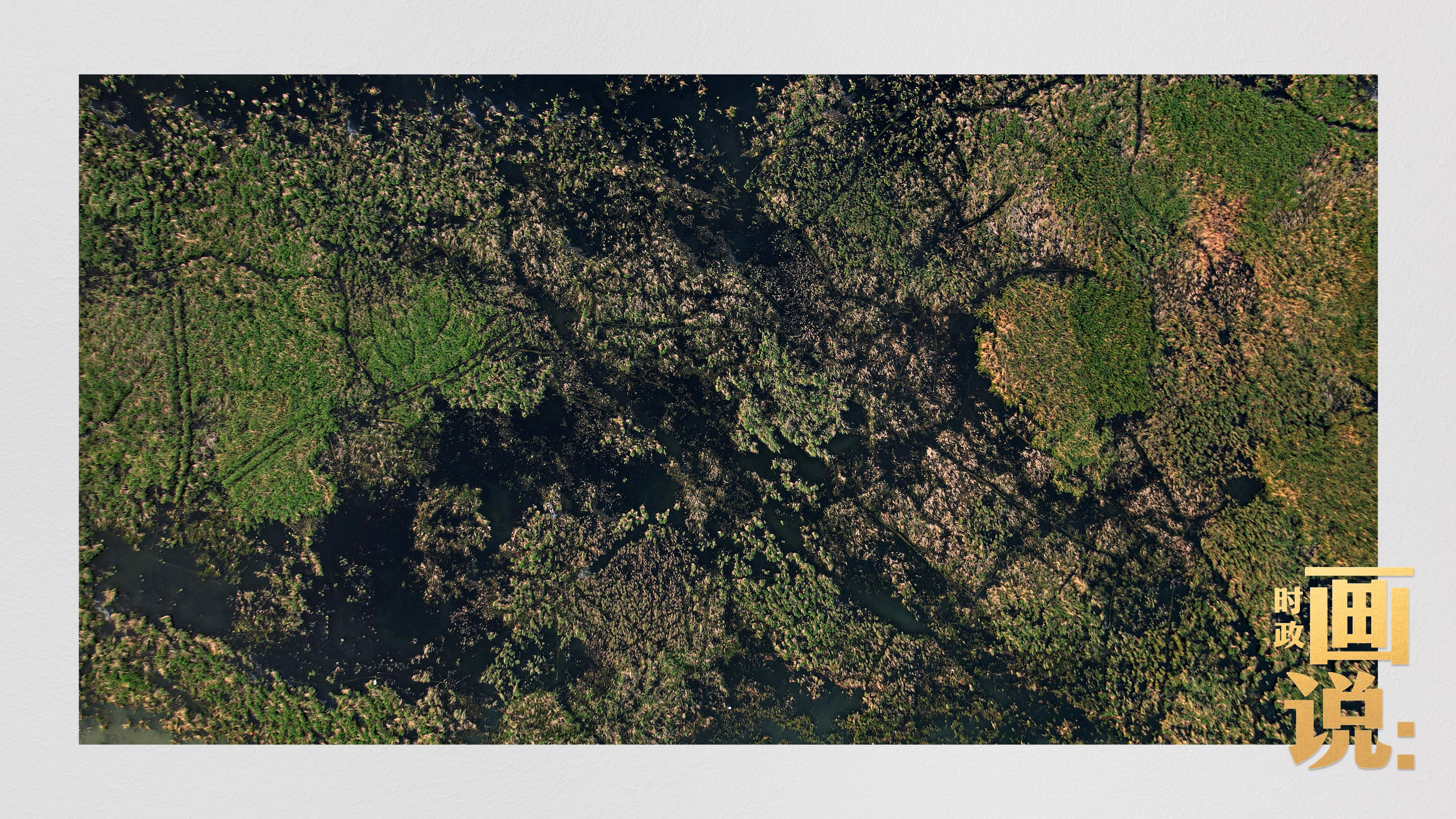 
包含北京大学第一医院黄牛代挂号电话票贩子号贩子网上预约挂号,住院检查加快,时政画说丨雄安·时辰