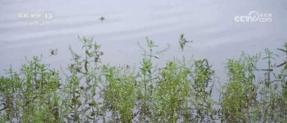 
首都医科大学附属北京同仁医院黄牛代挂号电话票贩子号贩子网上预约挂号,住院检查加快,数字基础设施规模能级提升 数字赋能助力各领域实现升级