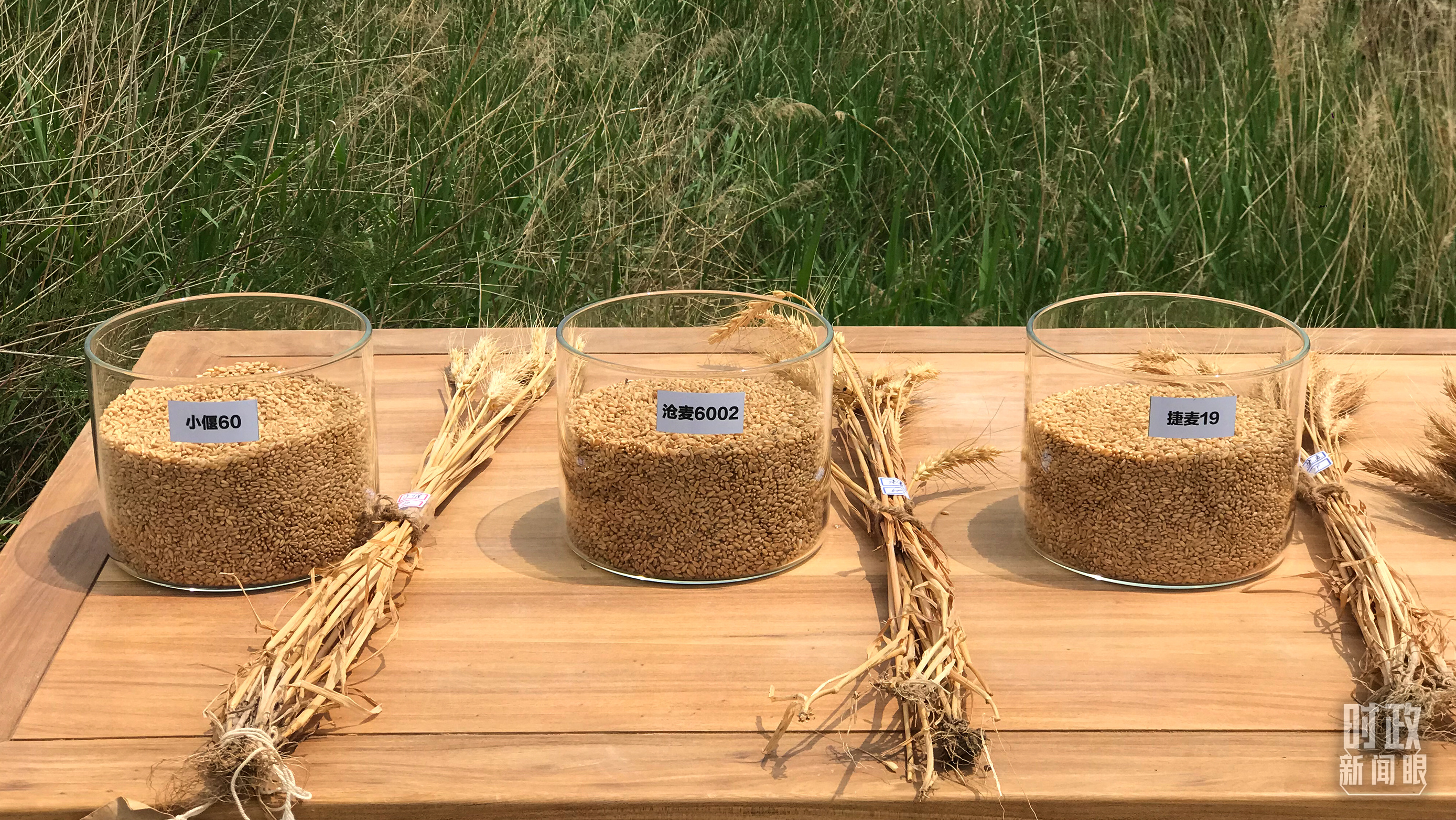 
北京301医院黄牛代挂号电话票贩子号贩子网上预约挂号,住院检查加快,时政新闻眼丨习近平考察河北沧州，关注这些“国之大者”