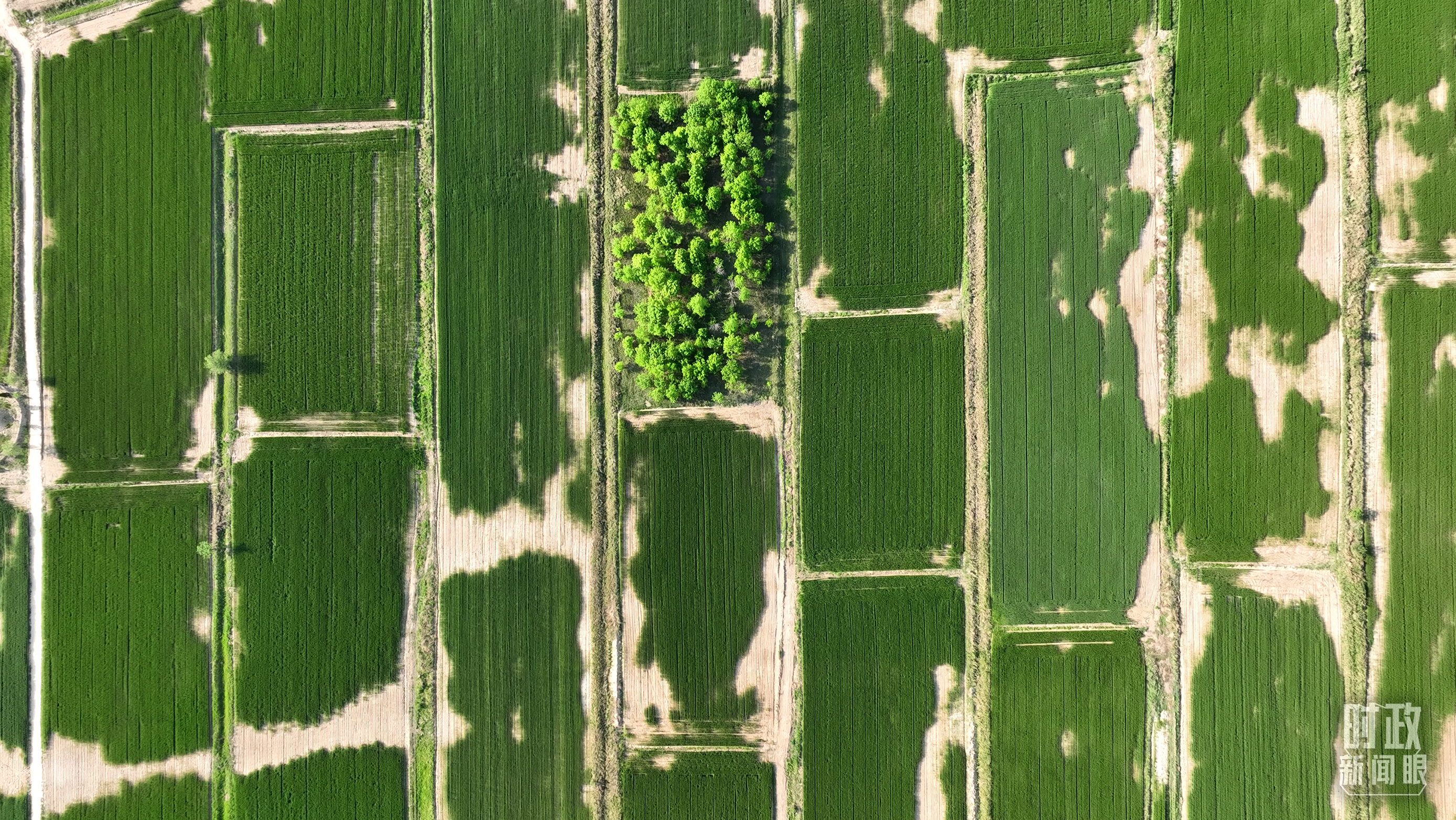 
北京301医院黄牛代挂号电话票贩子号贩子网上预约挂号,住院检查加快,时政新闻眼丨习近平考察河北沧州，关注这些“国之大者”