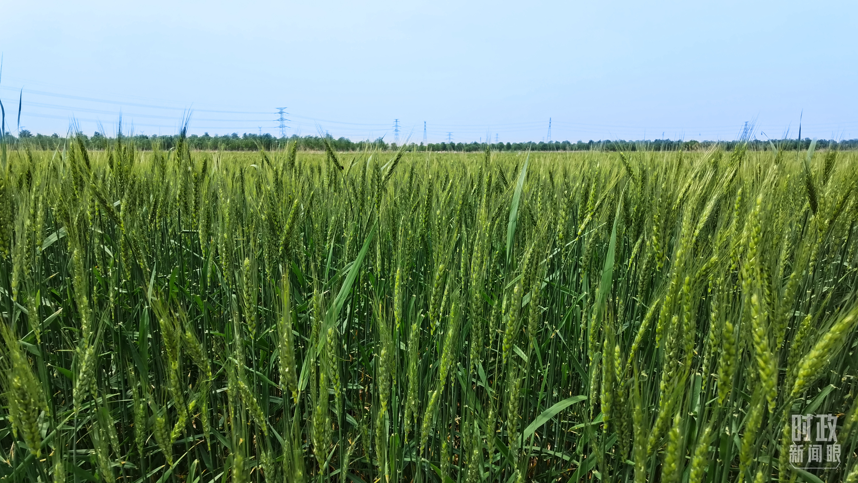 
北京301医院黄牛代挂号电话票贩子号贩子网上预约挂号,住院检查加快,时政新闻眼丨习近平考察河北沧州，关注这些“国之大者”
