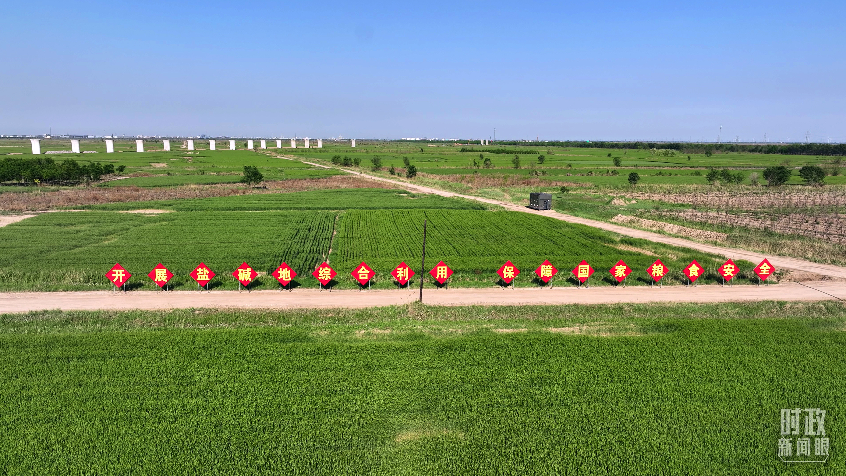 
北京301医院黄牛代挂号电话票贩子号贩子网上预约挂号,住院检查加快,时政新闻眼丨习近平考察河北沧州，关注这些“国之大者”