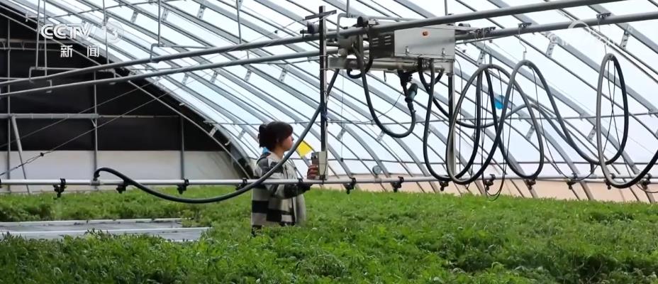 
上海各大医院黄牛代挂号电话票贩子号贩子网上预约挂号,住院检查加快,“设施农业+物联网+智能化” 戈壁滩变身现代蔬菜产业基地