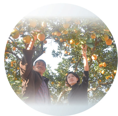 
代挂姜玉武的号黄牛代挂号电话票贩子号贩子网上预约挂号,住院检查加快,杨林村的“金喇叭”（逐梦·走进美丽乡村）