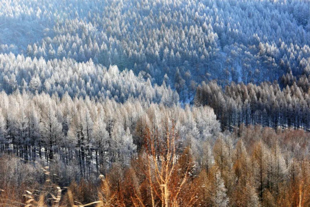 
广州各大医院黄牛代挂号电话票贩子号贩子网上预约挂号,住院检查加快,地形地貌最全！到河北，看浓缩的“国家地理读本”