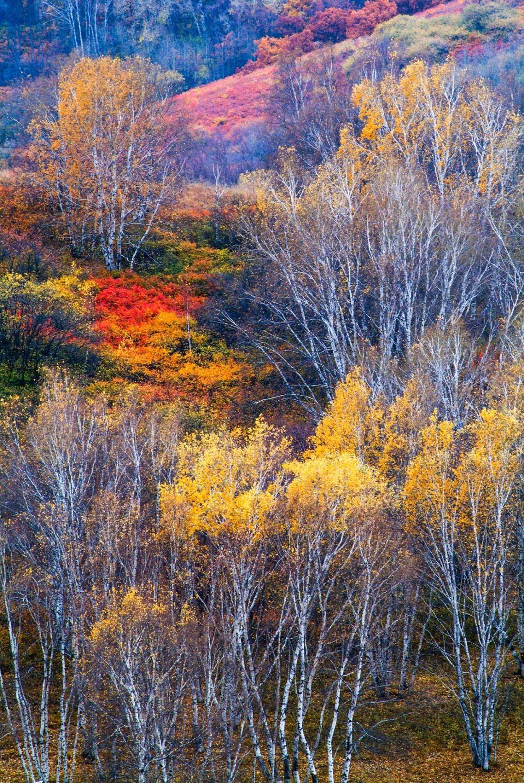 
广州各大医院黄牛代挂号电话票贩子号贩子网上预约挂号,住院检查加快,地形地貌最全！到河北，看浓缩的“国家地理读本”