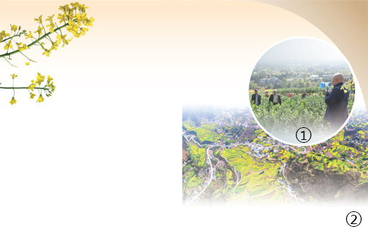 
代挂姜玉武的号黄牛代挂号电话票贩子号贩子网上预约挂号,住院检查加快,杨林村的“金喇叭”（逐梦·走进美丽乡村）