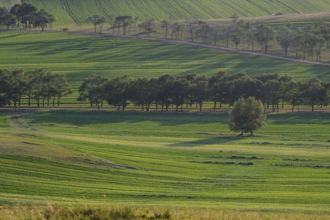 
广州各大医院黄牛代挂号电话票贩子号贩子网上预约挂号,住院检查加快,地形地貌最全！到河北，看浓缩的“国家地理读本”