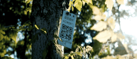 
北京妇产医院黄牛代挂号电话票贩子号贩子网上预约挂号,住院检查加快,京津冀：瓣瓣同心绘宏图