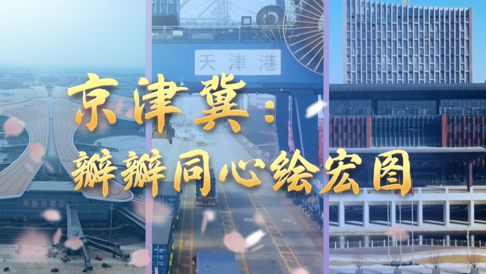 
北京妇产医院黄牛代挂号电话票贩子号贩子网上预约挂号,住院检查加快,京津冀：瓣瓣同心绘宏图