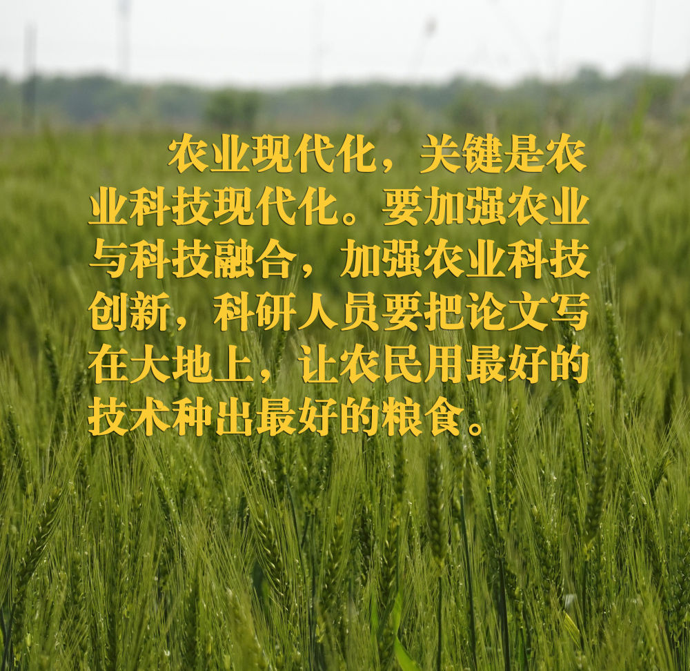 
北京妇产医院黄牛代挂号电话票贩子号贩子网上预约挂号,住院检查加快,镜观·领航｜在田间地头，总书记关心农业科技创新