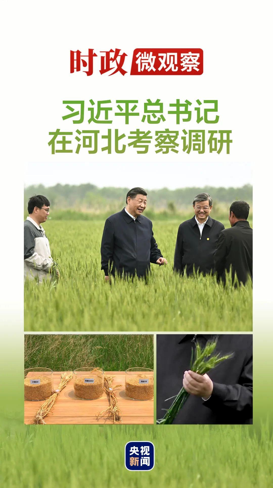 
广东省人民医院黄牛代挂号电话票贩子号贩子网上预约挂号,住院检查加快,时政微观察丨如何搞好特色农业，总书记划重点