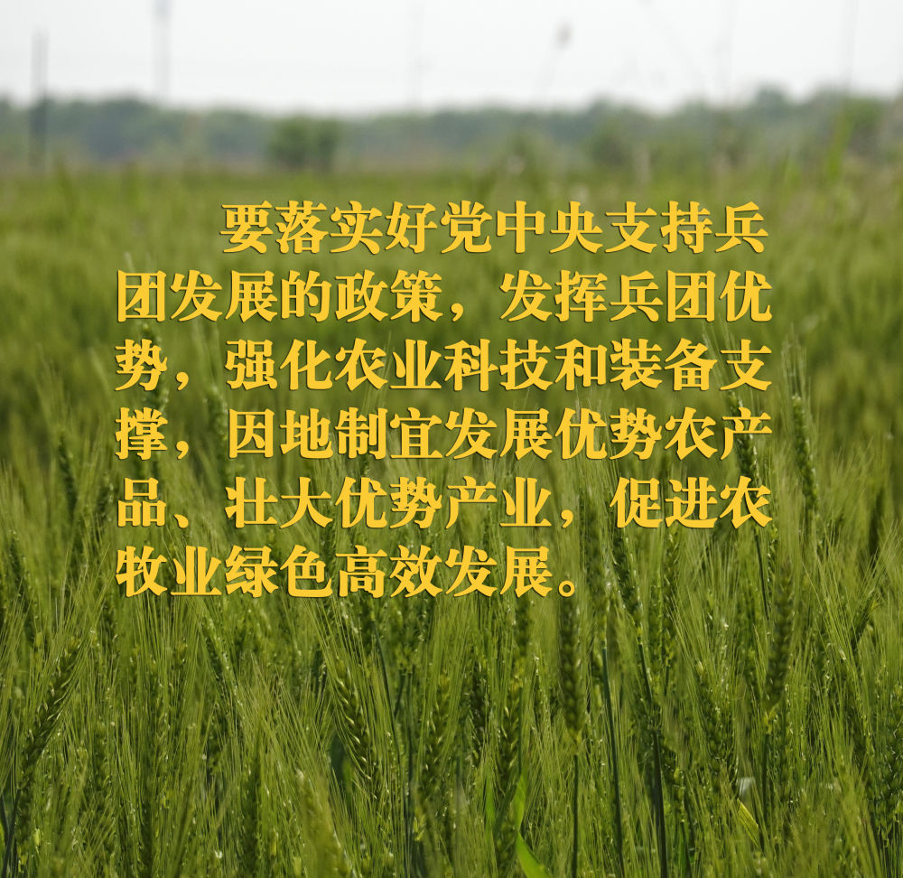 
北京妇产医院黄牛代挂号电话票贩子号贩子网上预约挂号,住院检查加快,镜观·领航｜在田间地头，总书记关心农业科技创新