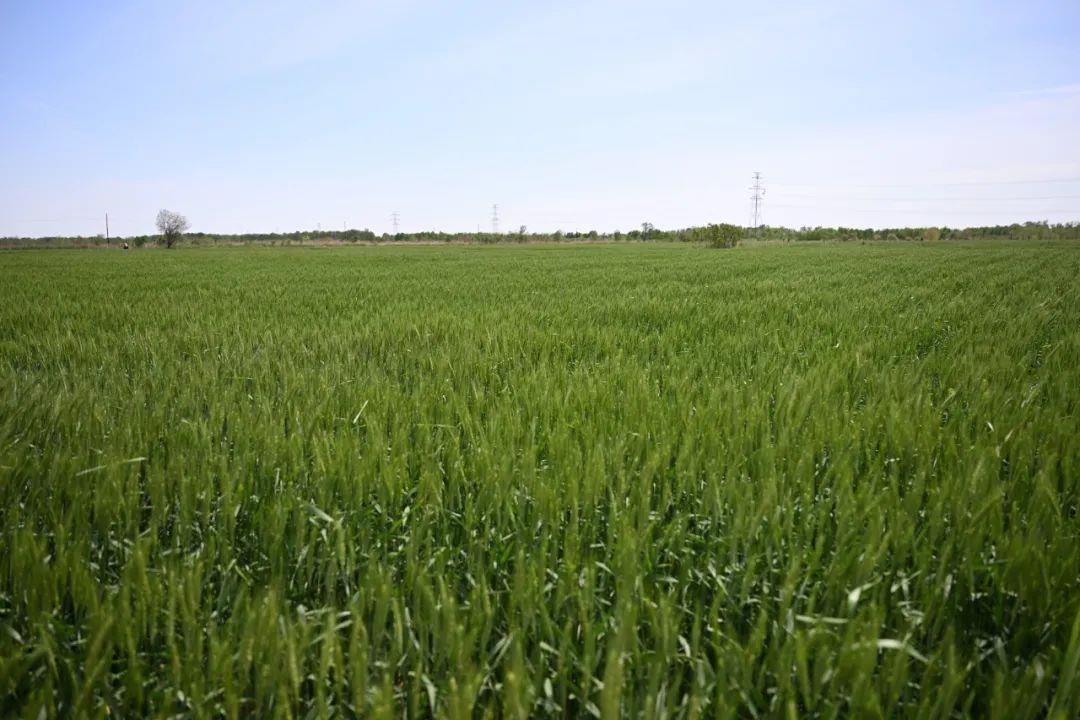 
广东省人民医院黄牛代挂号电话票贩子号贩子网上预约挂号,住院检查加快,时政微观察丨如何搞好特色农业，总书记划重点