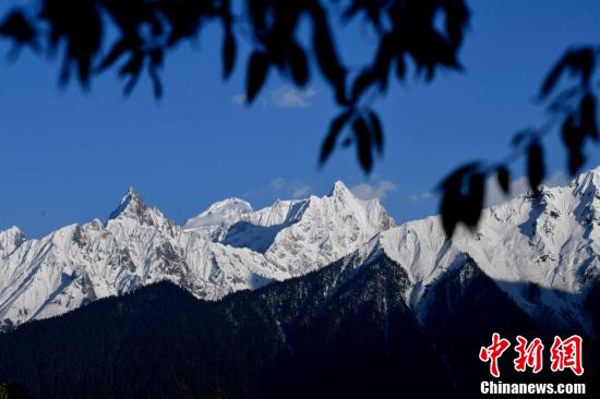
广州中山一院黄牛代挂号电话票贩子号贩子网上预约挂号,住院检查加快,“冰川之乡”西藏波密景色壮丽