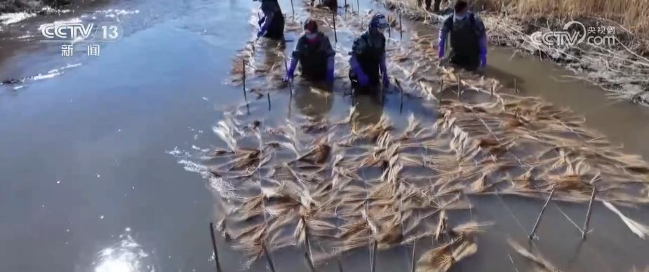 
北京朝阳医院黄牛代挂号电话票贩子号贩子网上预约挂号,住院检查加快,多措并举加大生态保护力度 促进渔业可持续发展