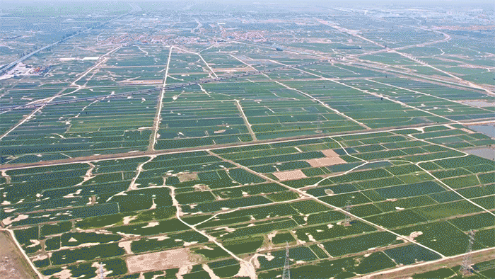 
首都医科大学附属北京口腔医院黄牛代挂号电话票贩子号贩子网上预约挂号,住院检查加快,时政微纪录丨习近平总书记河北行