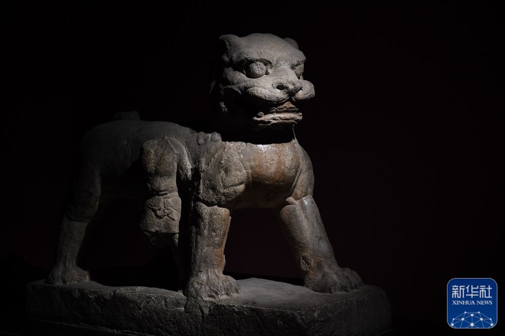 
北京302医院黄牛代挂号电话票贩子号贩子网上预约挂号,住院检查加快,新华全媒+丨博物馆里寻访千年丝路