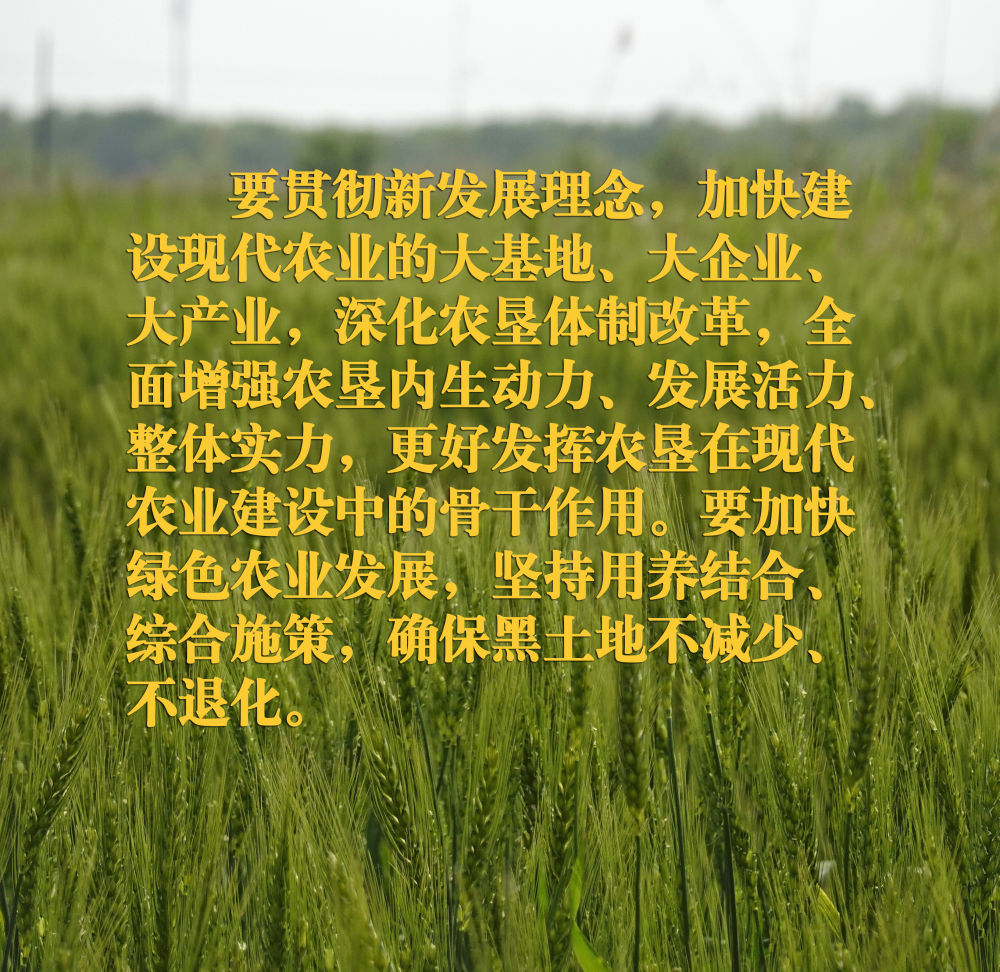 
北京妇产医院黄牛代挂号电话票贩子号贩子网上预约挂号,住院检查加快,镜观·领航｜在田间地头，总书记关心农业科技创新
