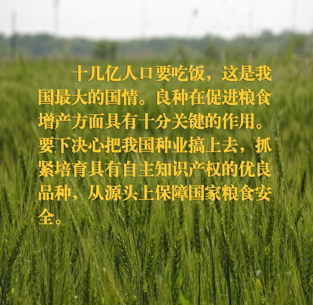 
北京妇产医院黄牛代挂号电话票贩子号贩子网上预约挂号,住院检查加快,镜观·领航｜在田间地头，总书记关心农业科技创新