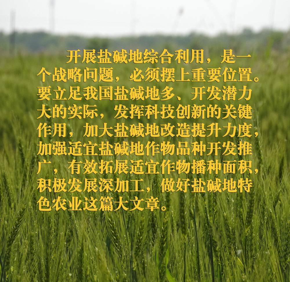 
北京妇产医院黄牛代挂号电话票贩子号贩子网上预约挂号,住院检查加快,镜观·领航｜在田间地头，总书记关心农业科技创新