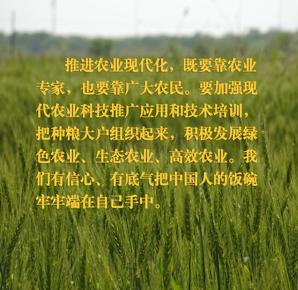 
北京妇产医院黄牛代挂号电话票贩子号贩子网上预约挂号,住院检查加快,镜观·领航｜在田间地头，总书记关心农业科技创新