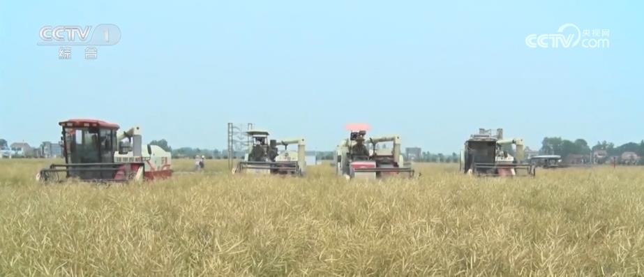 
北京大学肿瘤医院黄牛代挂号电话票贩子号贩子网上预约挂号,住院检查加快,夏收拉开序幕 机械化助力农业生产降本增效