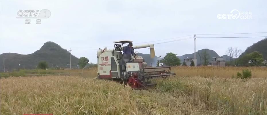 
北京大学肿瘤医院黄牛代挂号电话票贩子号贩子网上预约挂号,住院检查加快,夏收拉开序幕 机械化助力农业生产降本增效